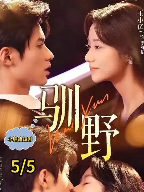 山海长歌 古装权谋电视剧全集